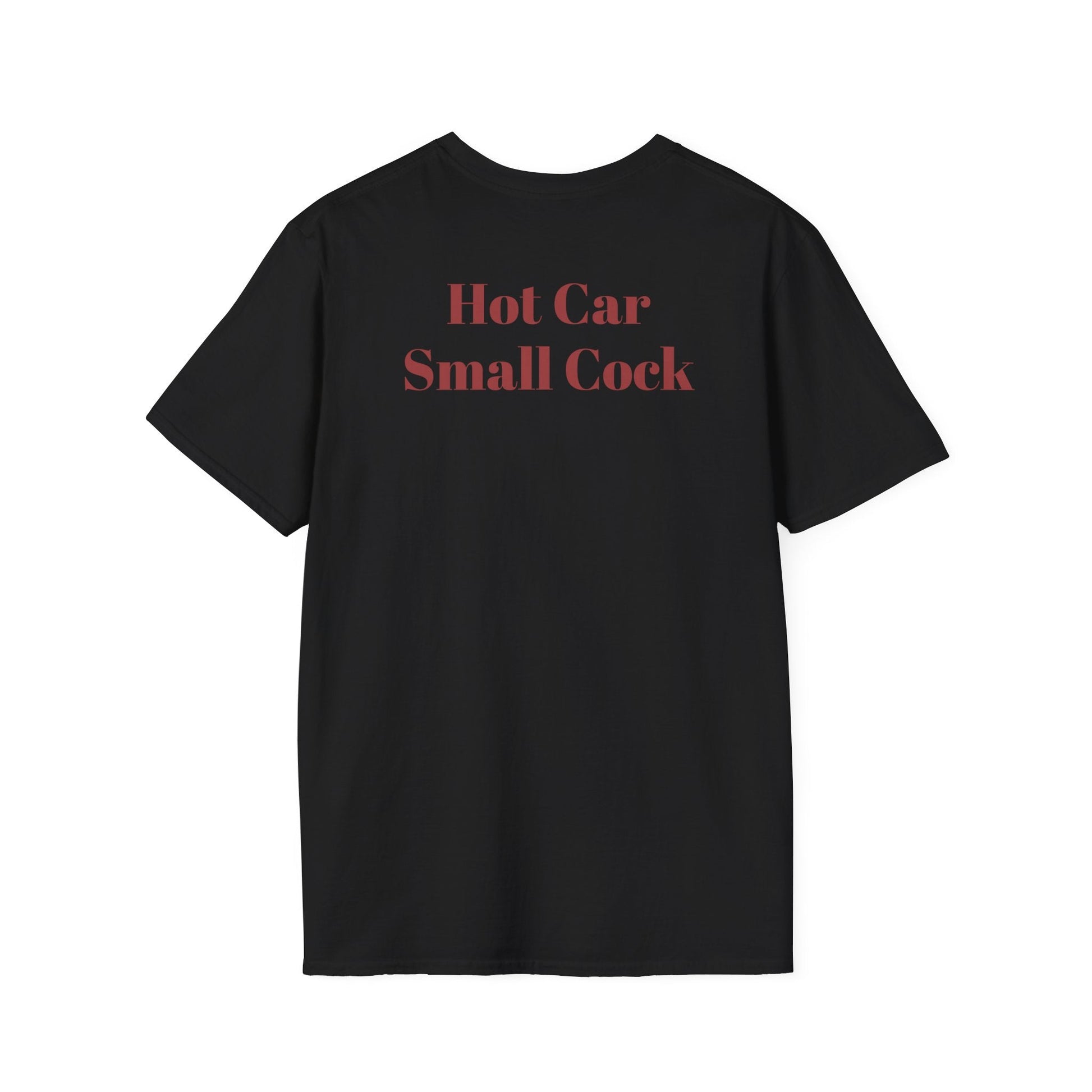 Black rebellious punk streetwear tee with bold red "Hot Car Small Cock" text on back