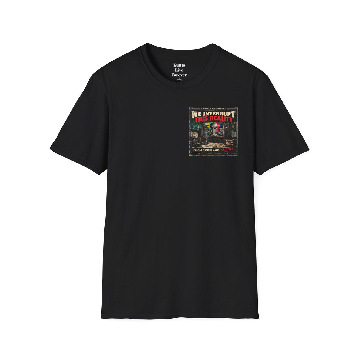 WE INTERRUPT THIS REALITY — KLF product image 2