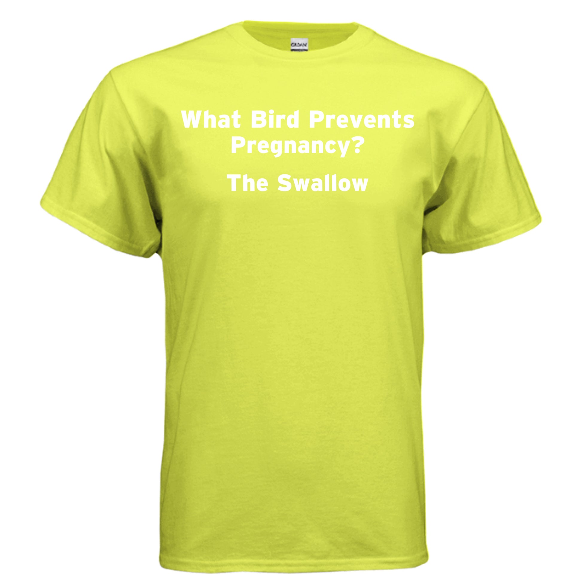 Swallow - Kunts Live Forever